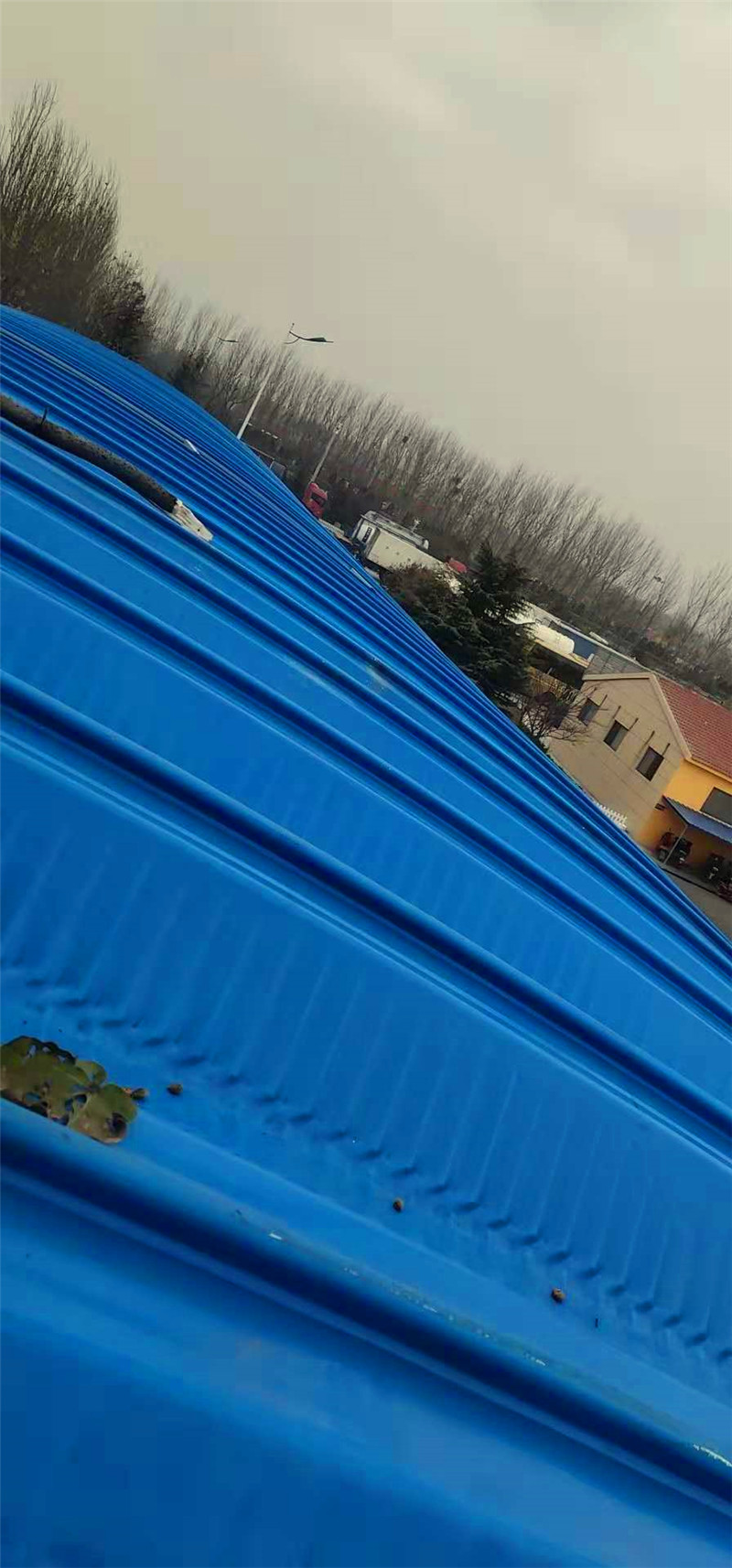 沈海高速胶州服务区拱形屋顶拆换工程2018-11-30 171908.jpg